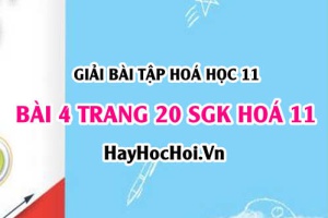 Giải bài 4 trang 20 SGK Hoá 11: Phản ứng trao đổi ion trong dung dịch chất điện li